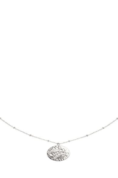 Ketting Constellation - Vissen Zilver Stainless Steel h5 Afbeelding2